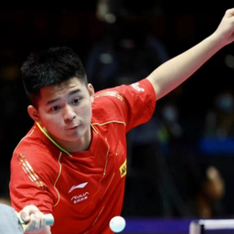 每年吸引着 每年吸引着