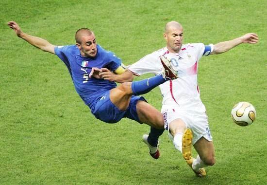 形成了鲜明 形成了鲜明